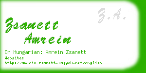zsanett amrein business card